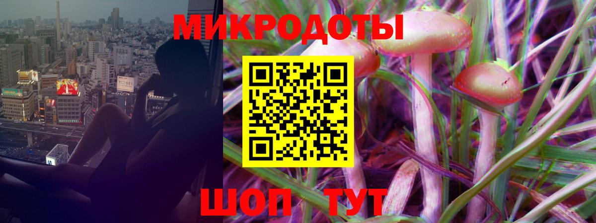 Псилоцибиновые грибы Psilocybine cubensis Феодосия